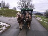 Adventfahrt 2007 -  (4)  Kutschenfahrt Gut Aiderbichl.jpg