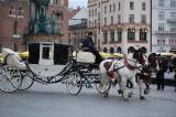 Krakau_2011 182.JPG