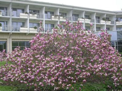 Therme Catec - SLO  (13).jpg